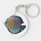 Royal Blue Discus Schlüsselanhänger (Rückseite)