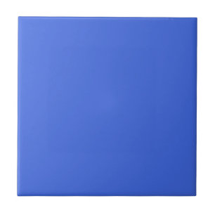 Royal Blue Hex Code 4169E1 Fliese