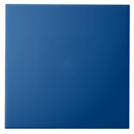 Royal Blue, Ocean Depth | #00458A Fliese