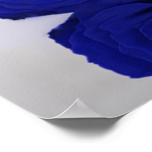 Royal Blue Rose Alphabeating Chart Poster (Ecke)