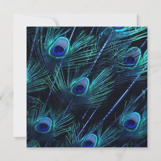 Royal Blue Silver Royal Indian Peacock Wedding Einladung (Vorderseite)