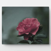 Royal Blush Plaque Fotoplatte (Vorderseite)