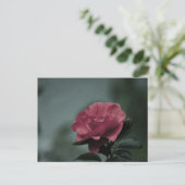 Royal Blush Postcard Postkarte (Stehend Vorderseite)