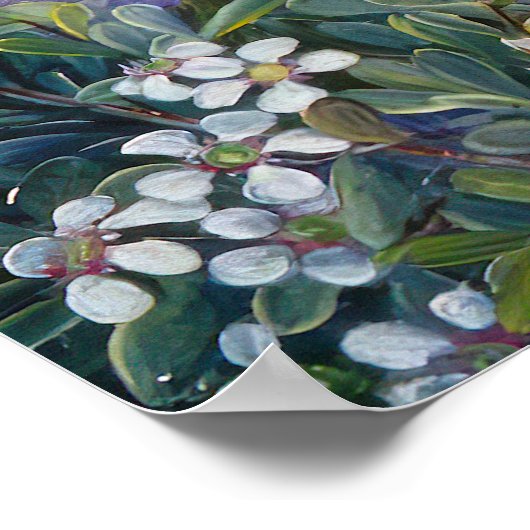 Royal Botanic von Marianne North Poster (Ecke)