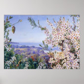 Royal Botanic von Marianne North Poster (Vorne)