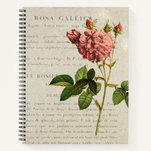 Royal Botanicals: Rosa Gallica Regalis-Notebook Notizblock