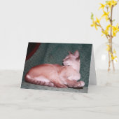 Royal Cat Birthday Card Karte (Gelbe Blume)