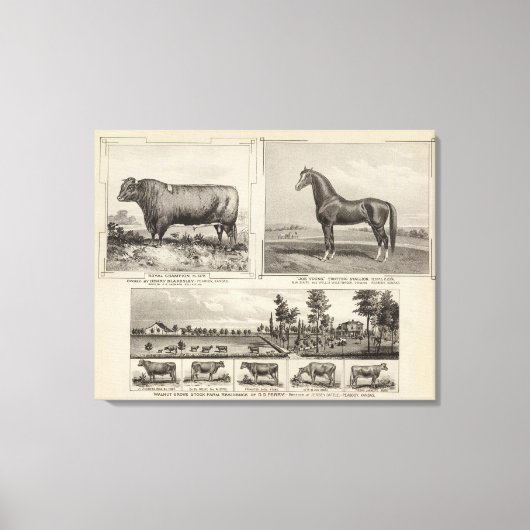 Royal Champion, Joe Young, Kansas Leinwanddruck (Vorderseite)