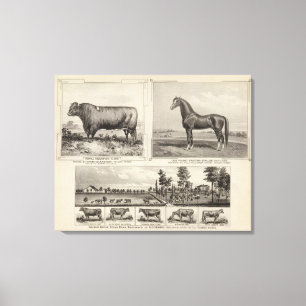 Royal Champion, Joe Young, Kansas Leinwanddruck