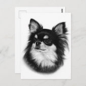 Royal Chihuahua Look - Handgemalt Postkarte (Vorne/Hinten)