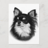 Royal Chihuahua Look - Handgemalt Postkarte (Vorderseite)