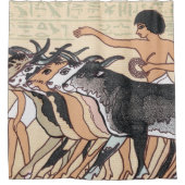 Royal Egyptian Cattle Duschvorhang (Vorderseite)