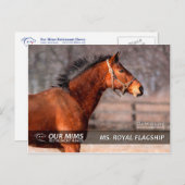 Royal Flagship Postcard Postkarte (Vorne/Hinten)