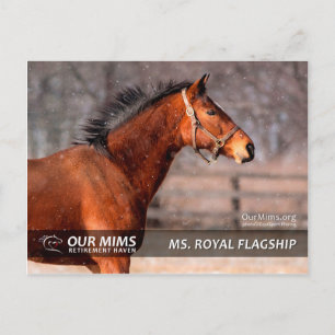Royal Flagship Postcard Postkarte