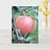 Royal Gala Apple Karte (Gelbe Blume)