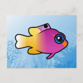 Royal Gramma Postkarte (Vorderseite)