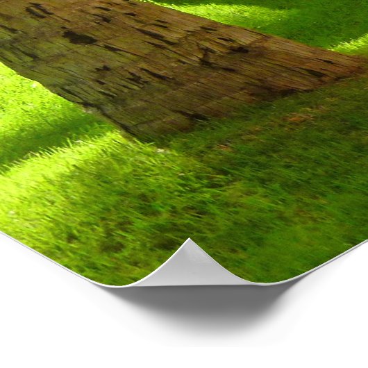 Royal Hawaiian Hotel Poster (Ecke)