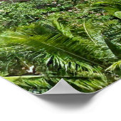 Royal Hawaiian Hotel Waikiki Poster (Ecke)