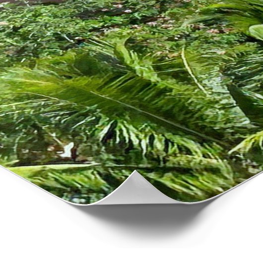 Royal Hawaiian Hotel Waikiki Poster (Ecke)