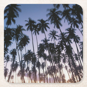 Royal Kupuva Palm Grove in Kaunakakai Rechteckiger Pappuntersetzer