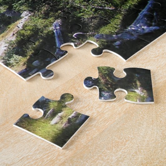 Royal Lake Illinois Puzzle (Seite)