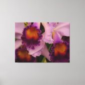 Royal Lila Cattleya Orchid Leinwanddruck (Vorderseite)