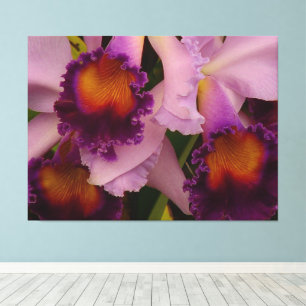 Royal Lila Cattleya Orchid Leinwanddruck