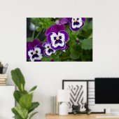 Royal Lila und White Matrix Pansy Poster (Heimbüro)