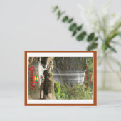 Royal Mt Carmel Falls Postkarte (Stehend Vorderseite)