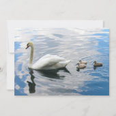 Royal Mute Swan and Cygnets Flat Card (Vorderseite)