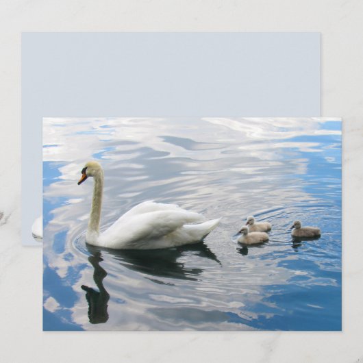 Royal Mute Swan and Cygnets Flat Card (Vorne/Hinten)