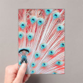 Royal Peacock Postcard - Art Postcard, Peacock Acryleinladungen (Insitu (Handheld))