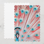 Royal Peacock Postcard - Art Postcard, Peacock Einladung (Vorne/Hinten)