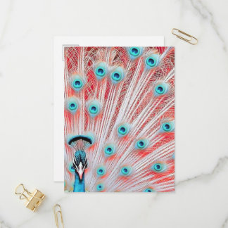 Royal Peacock Postcard - Art Postcard, Peacock Einladungspostkarte
