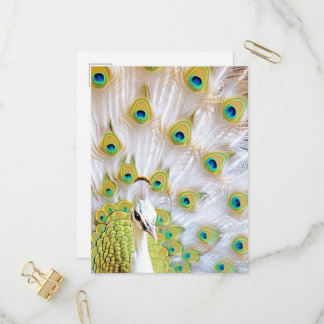 Royal Peacock Postcard - Art Postcard, Peacock Einladungspostkarte
