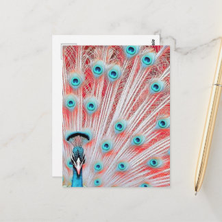Royal Peacock Postcard - Art Postcard, Peacock Postkarte