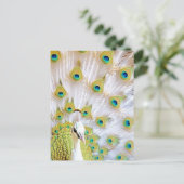 Royal Peacock Postcard - Art Postcard, Peacock Postkarte (Stehend Vorderseite)