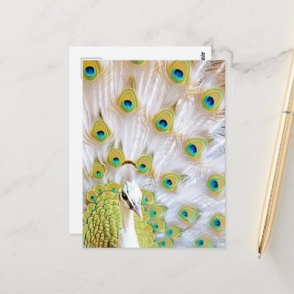 Royal Peacock Postcard - Art Postcard, Peacock Postkarte