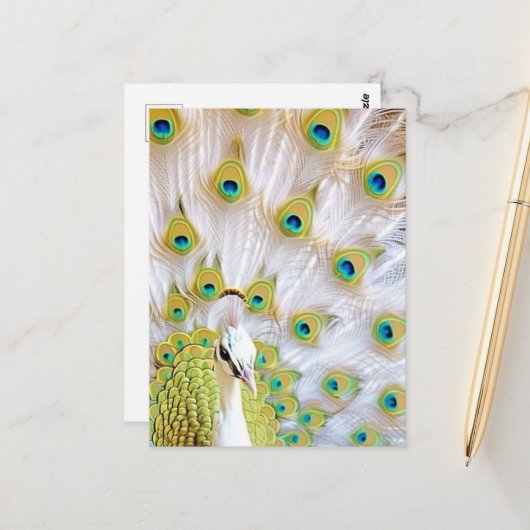 Royal Peacock Postcard - Art Postcard, Peacock Postkarte (Vorderseite/Rückseite Beispiel)