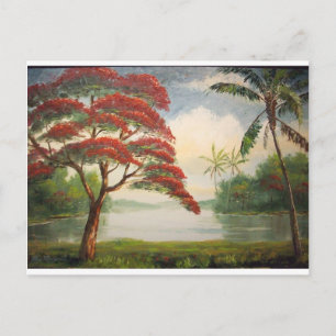 Royal Poinciana (Flamboyant-Baum) Postkarte