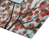 Royal Poinciana Flamboyant Flame Tree Red Black Schneidebrett (Ecke)