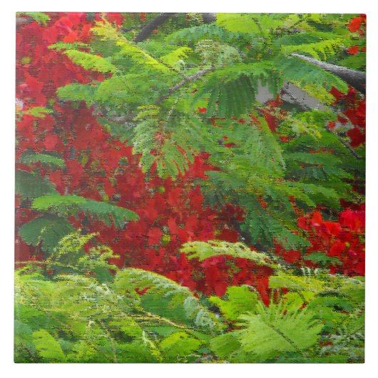 Royal Poinciana Fliese (Vorderseite)