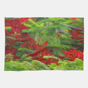 Royal Poinciana Handtuch