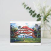 Royal Poinciana Tree Art Postkarte (Stehend Vorderseite)