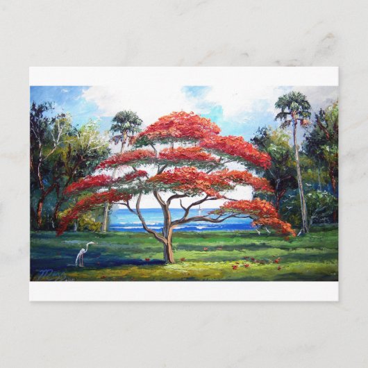 Royal Poinciana Tree Art Postkarte (Vorderseite)