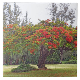 "ROYAL POINCIANA TREM"/KERAMIK TILE/TRIVET FLIESE