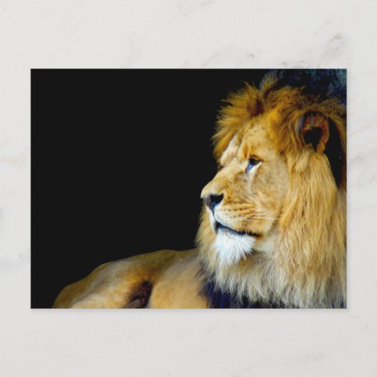 Royal Portrait Postkarte (Vorderseite)