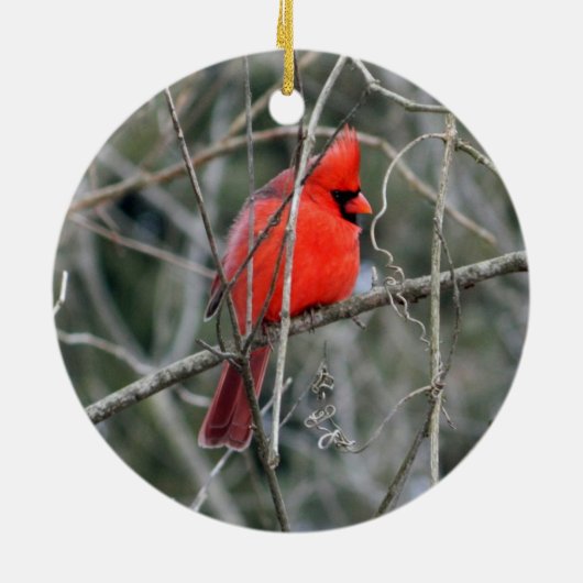 Royal Red Kardinal Keramik Ornament (Hinten)