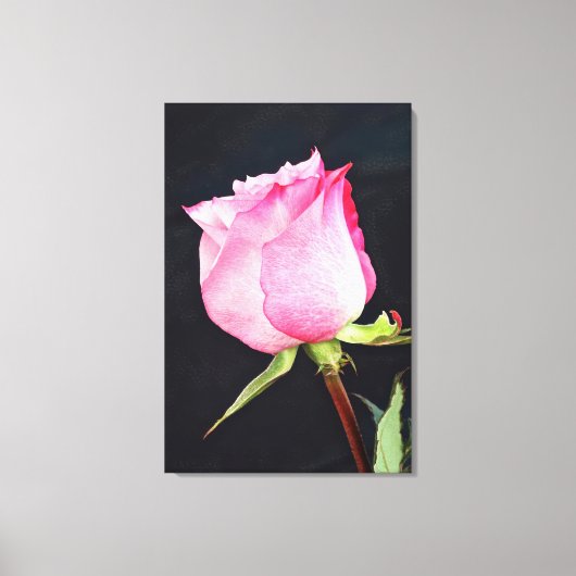 Royal Rose Leinwand Art (Vorderseite)