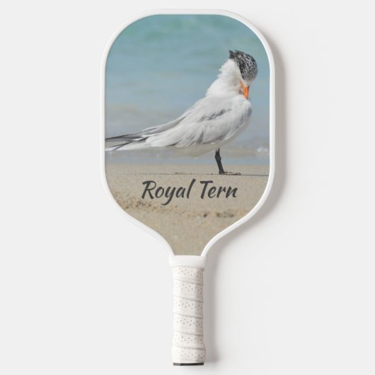 Royal Tern Bow to Royalty Fun Coastal Pickleball Schläger (Vorderseite)